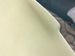 �|���G�X�e�� �E�B���O �f�B�b�N�o���X�g���[���� 1_5